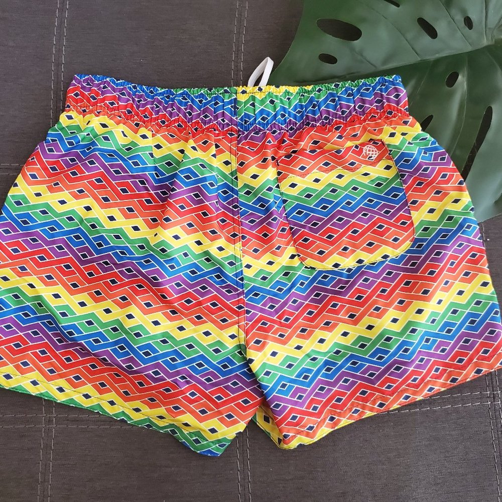 Evolve 2(x)ist Swim Trunks - Picture 2 of 3